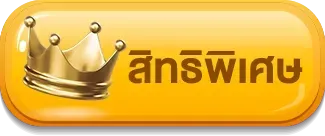 สิทธิพิเศษ th500